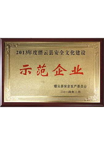 2013年縉云縣安全文化建設示范企業(yè)
